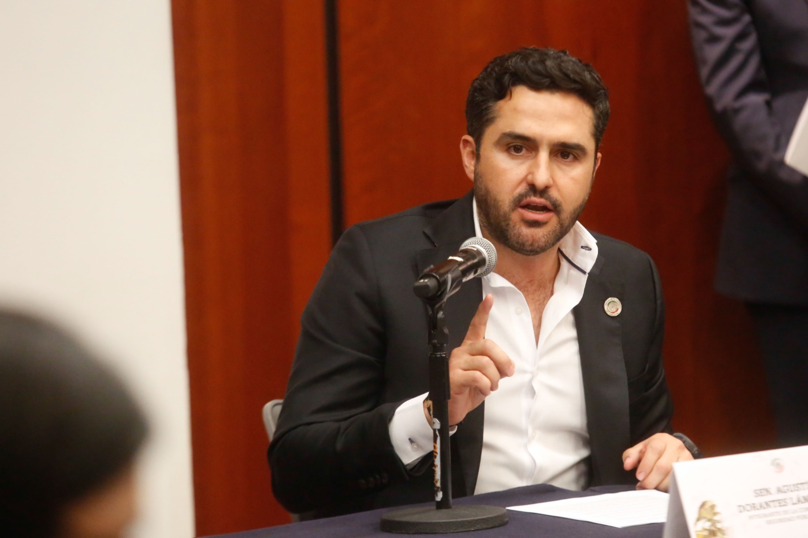 “Ley Censura”, atenta Libertad de Expresión; AD