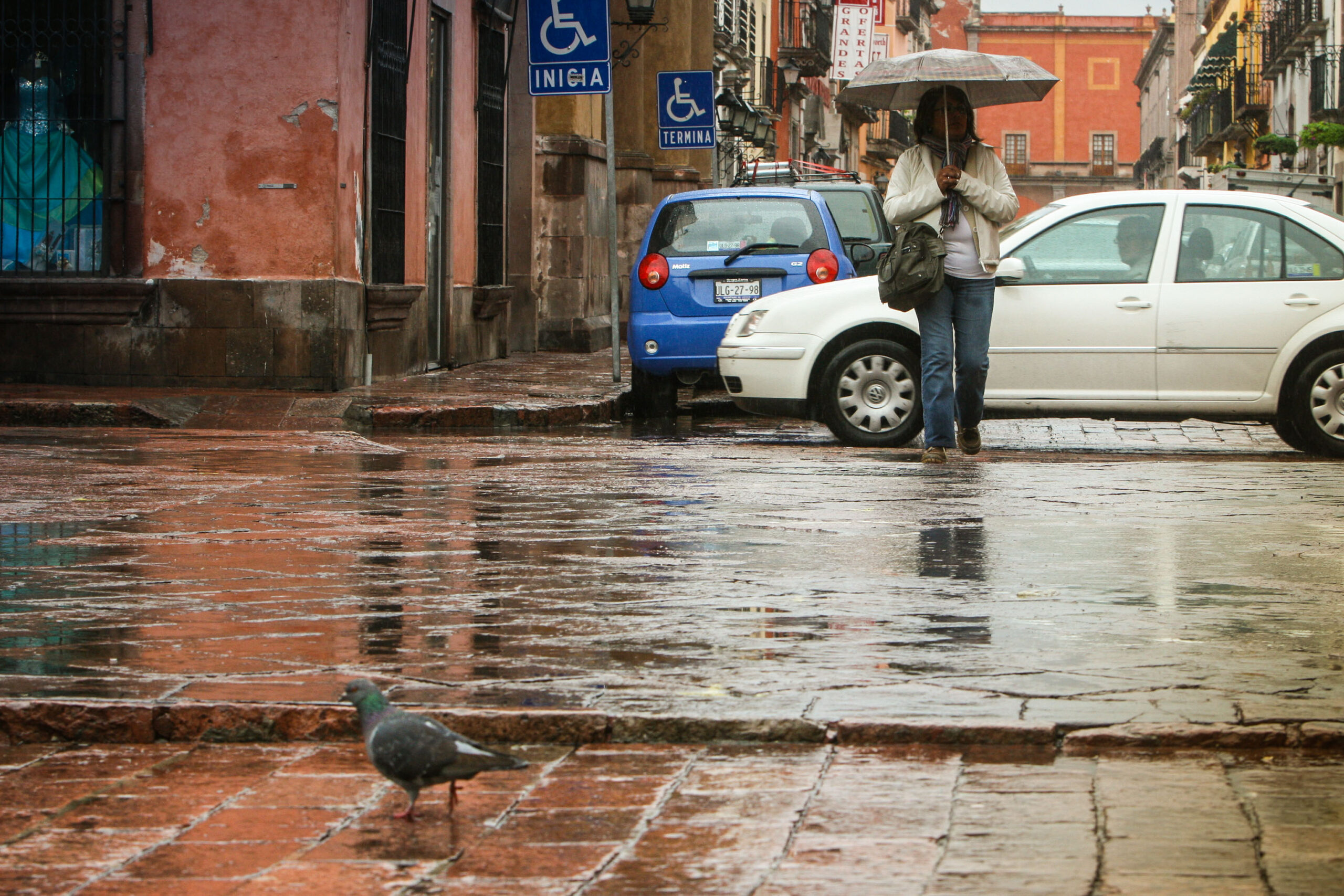Ante temporada de lluvias informarse;TC