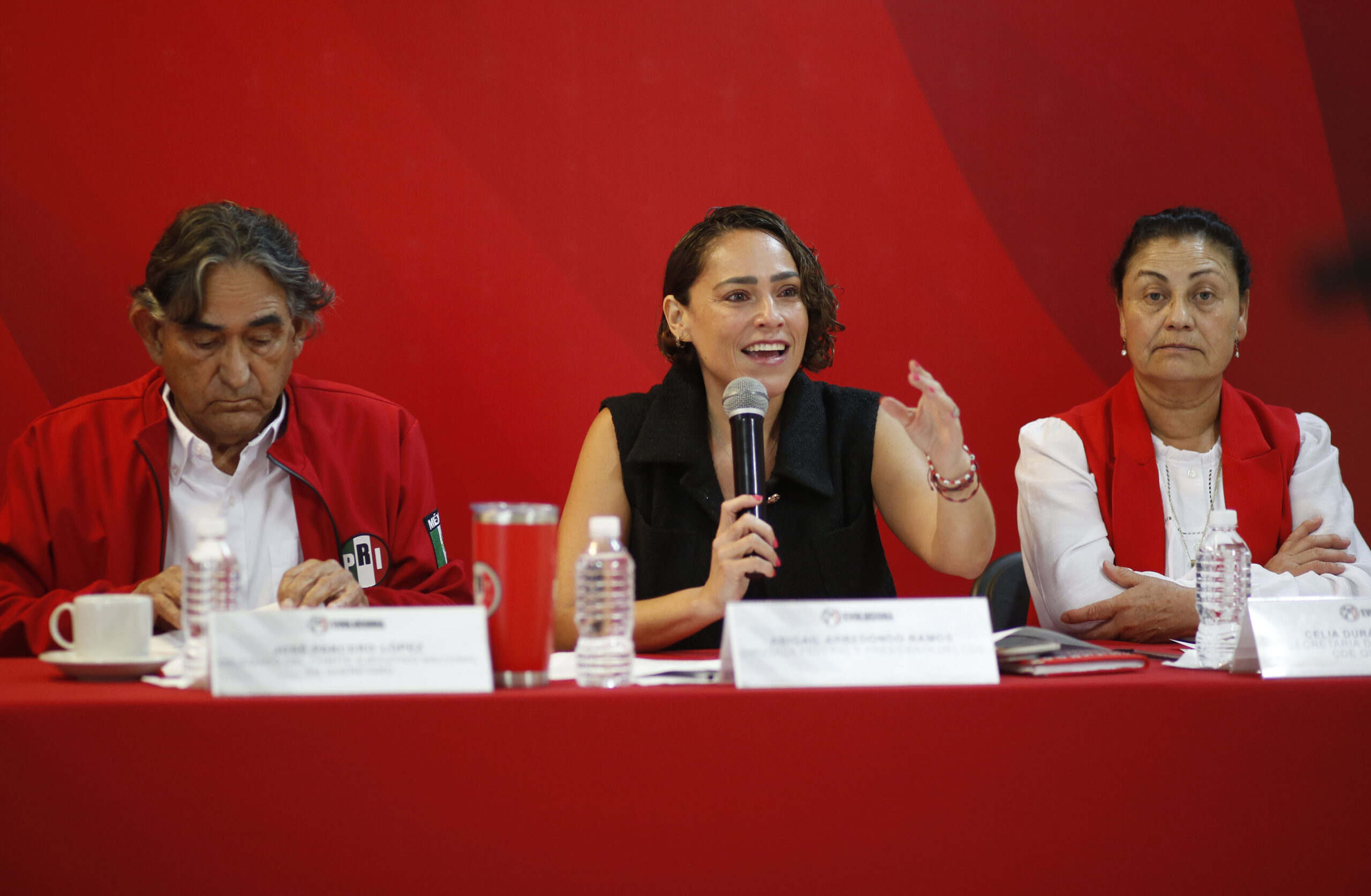 Defensa de la democracia; Abi Arredondo