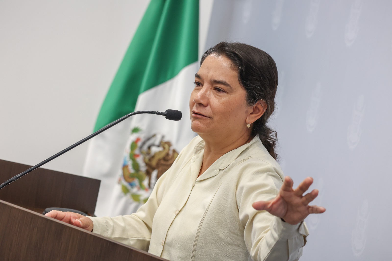 Armonizacion de transparencia con federación