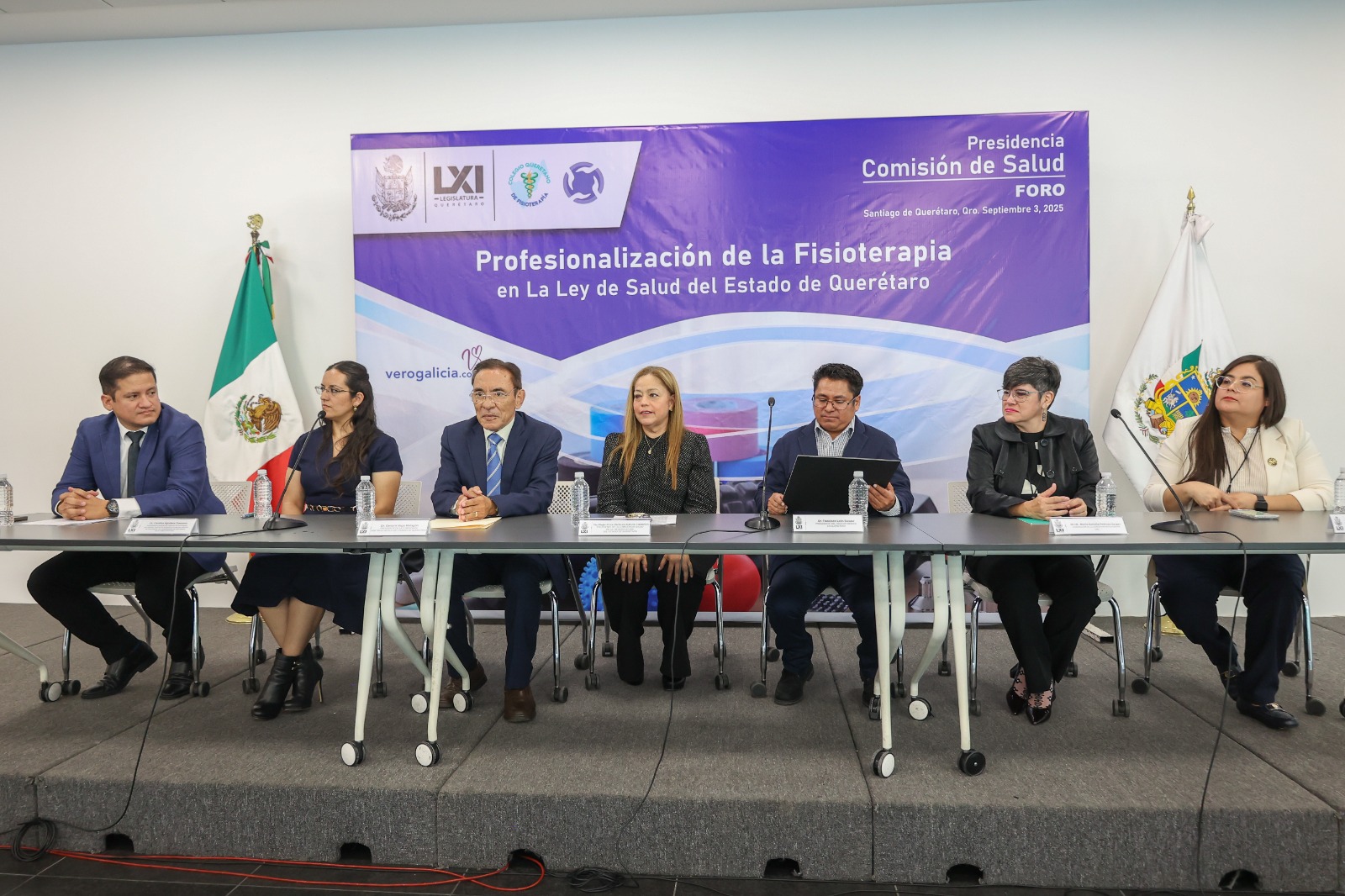Profesionalismo de la Fisioterapia
