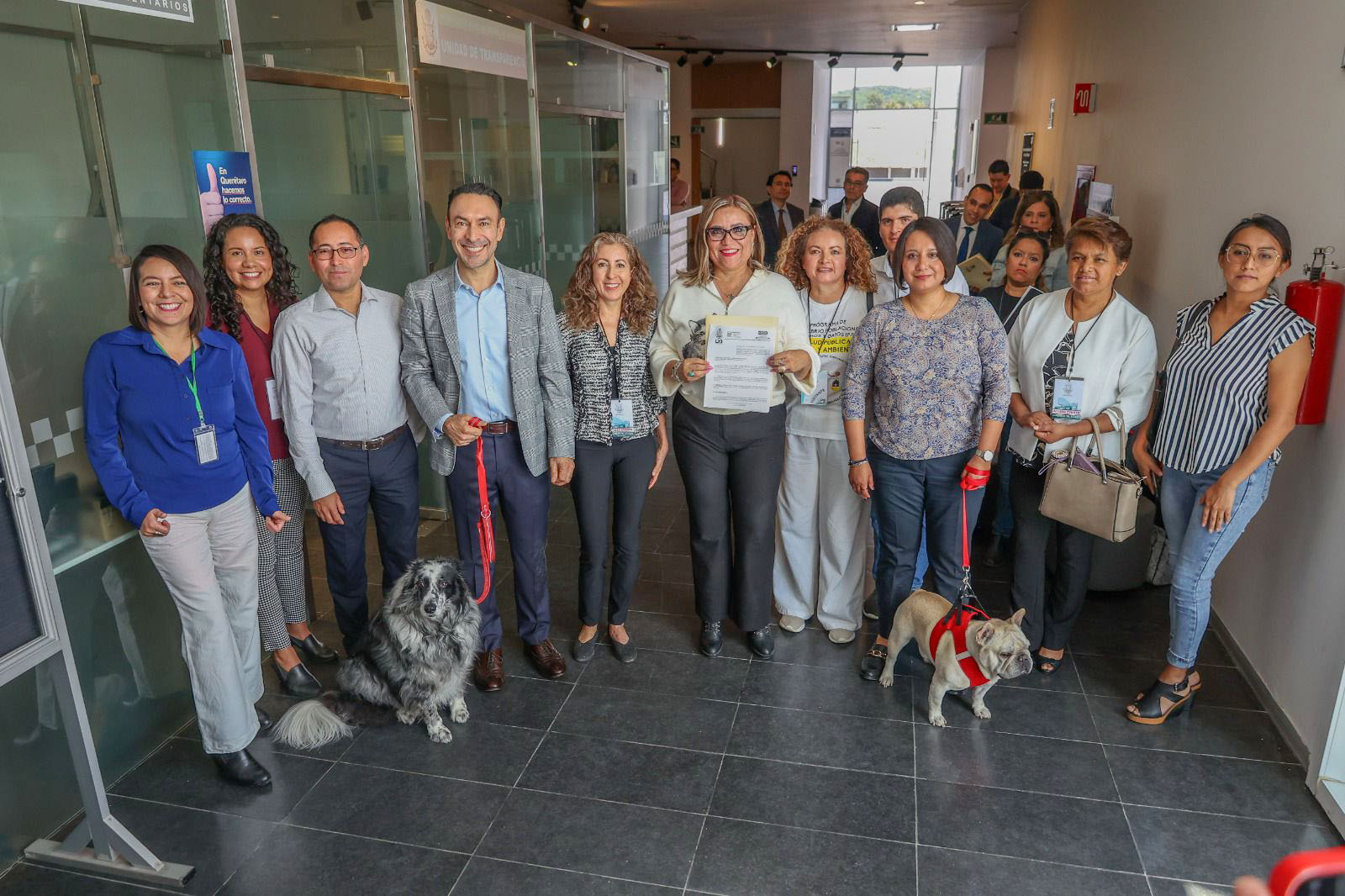 Bienestar animal y la salud pública