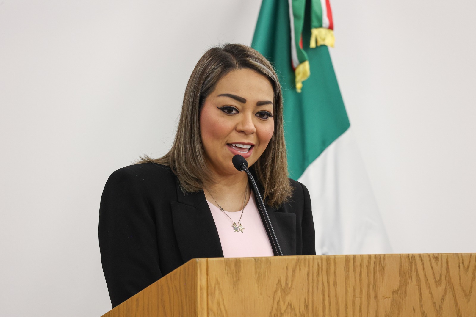 Gina G. sobre la Reforma al PJ