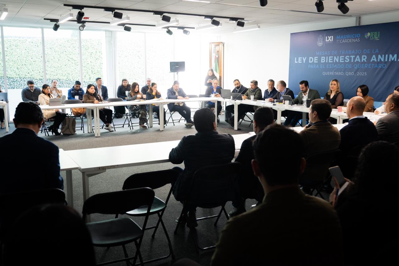 Impulso a Ley de Bienestar Animal