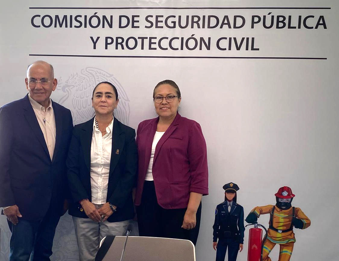 Vigilar y controlar Incendios