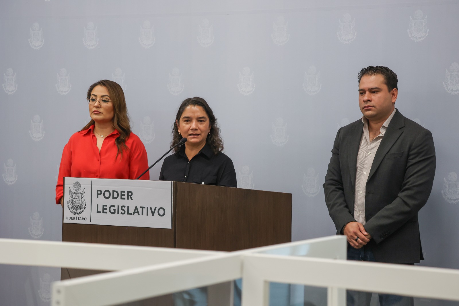 Que Legislatura nombre Fiscal Anticorrupción