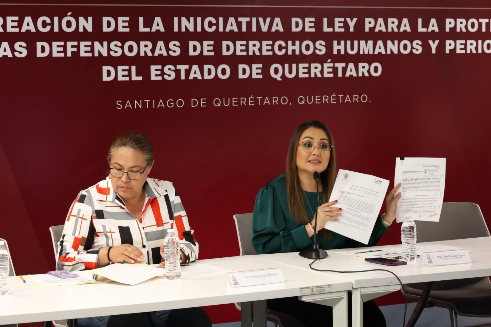 Ley para Periodistas y Defensores de Derechos Humanos