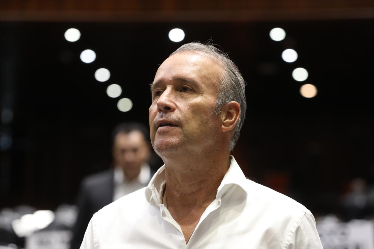 El proyecto es México: M Calzada
