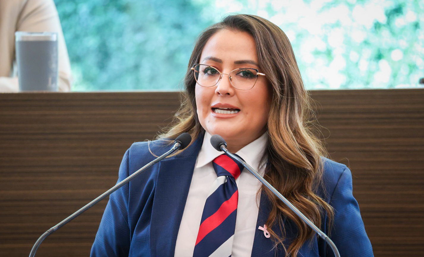 Aprueban Sistema Estatal de Cuidados